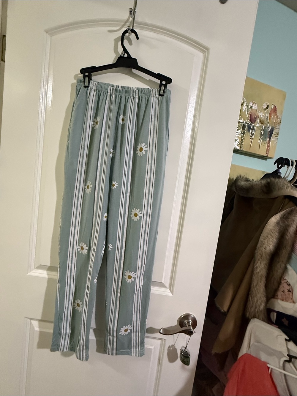 Daisy-Print Green Stripe Women Bottoms